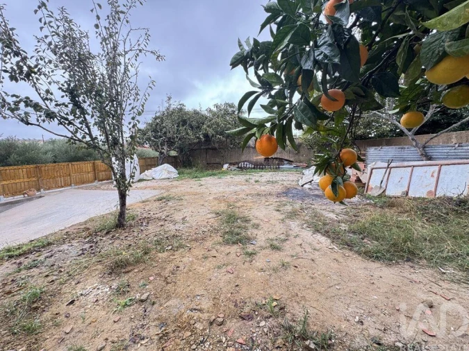 Moradia T3 para Venda em Ventosa Foto 7