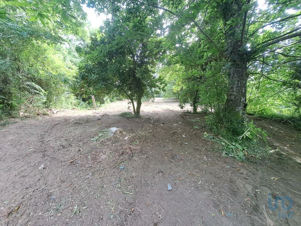 Moradia T2 para Venda em Escariz (São Mamede) e Escariz (São Martinho) Foto 8