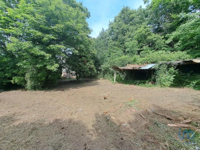 Moradia T2 para Venda em Escariz (São Mamede) e Escariz (São Martinho) Foto 3