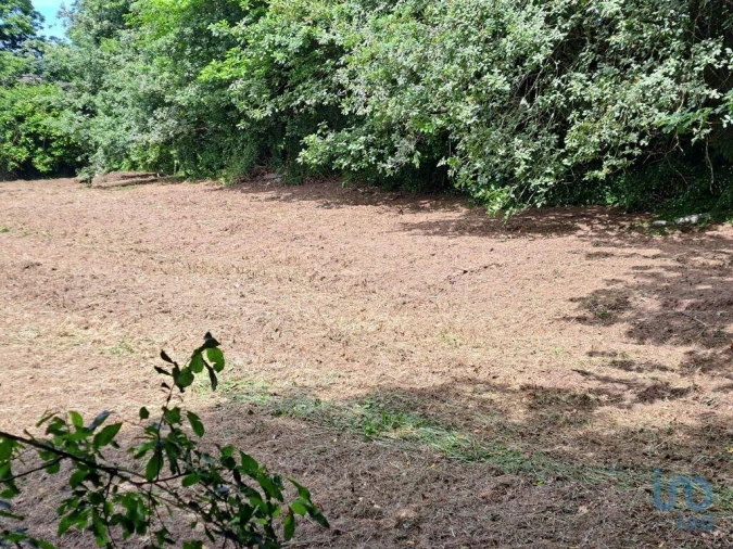 Moradia T2 para Venda em Escariz (São Mamede) e Escariz (São Martinho) Foto 12