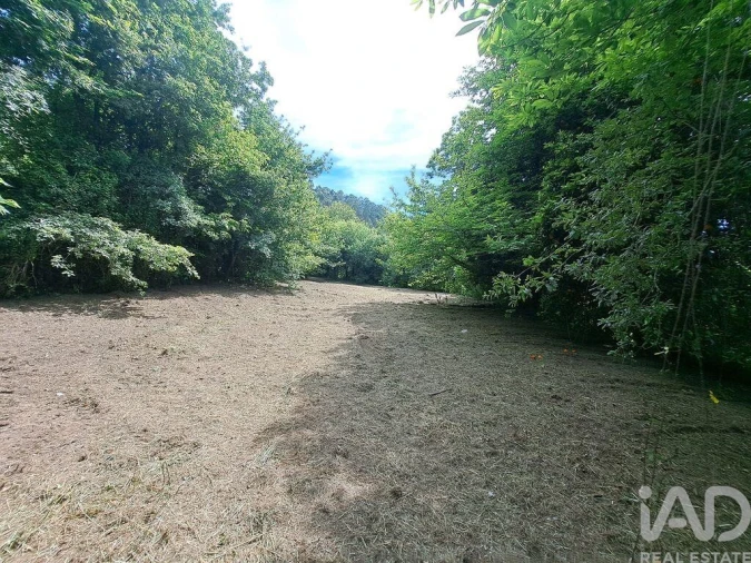 Moradia T2 para Venda em Escariz (São Mamede) e Escariz (São Martinho) Foto 15