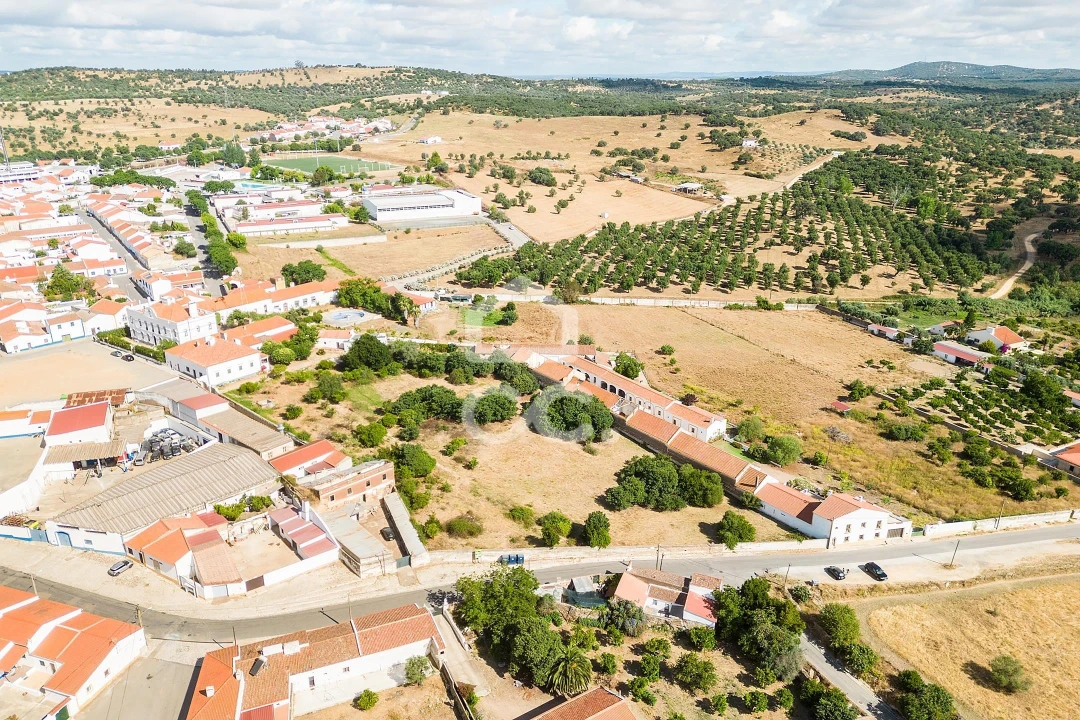 Terreno para Venda em Alvito Foto 19