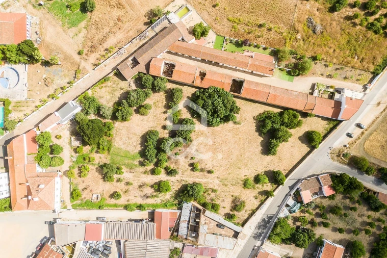 Terreno para Venda em Alvito Foto 2
