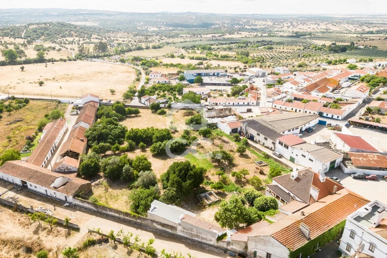 Terreno para Venda em Alvito Foto 10