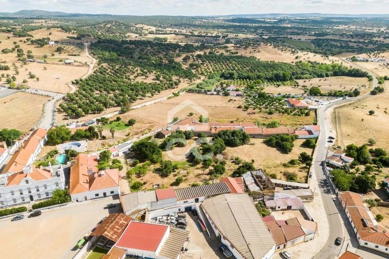 Terreno para Venda em Alvito Foto 14