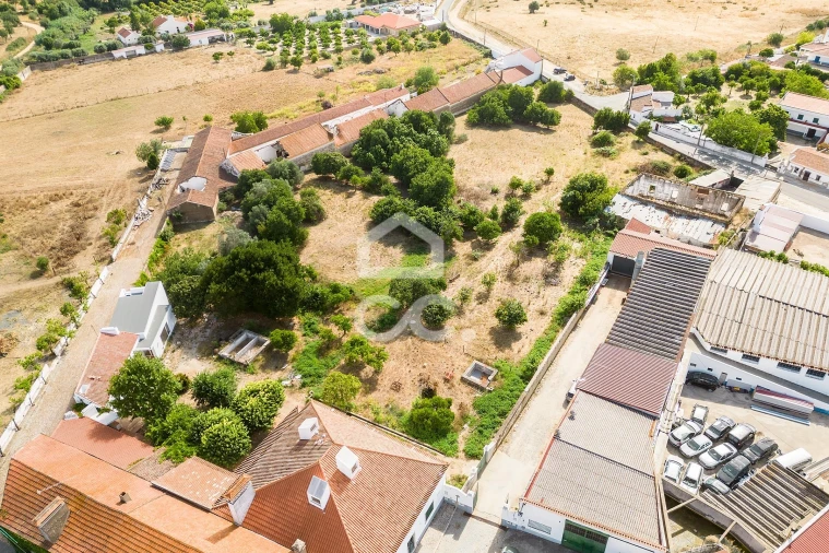 Terreno para Venda em Alvito Foto 5