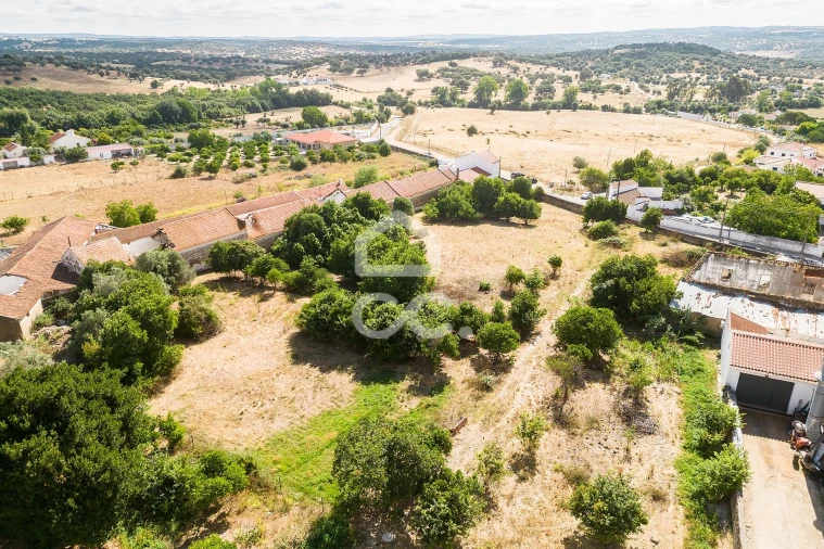 Terreno para Venda em Alvito Foto 4