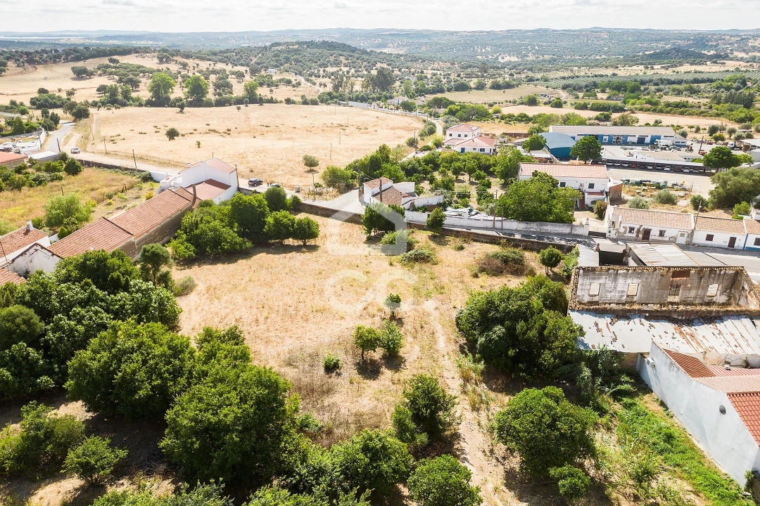 Terreno para Venda em Alvito Foto 6