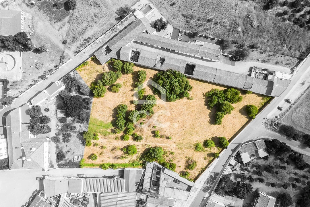 Terreno para Venda em Alvito Foto 1