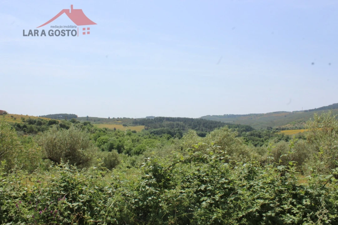 Terreno para Venda em Castelãos e Vilar do Monte Foto 4