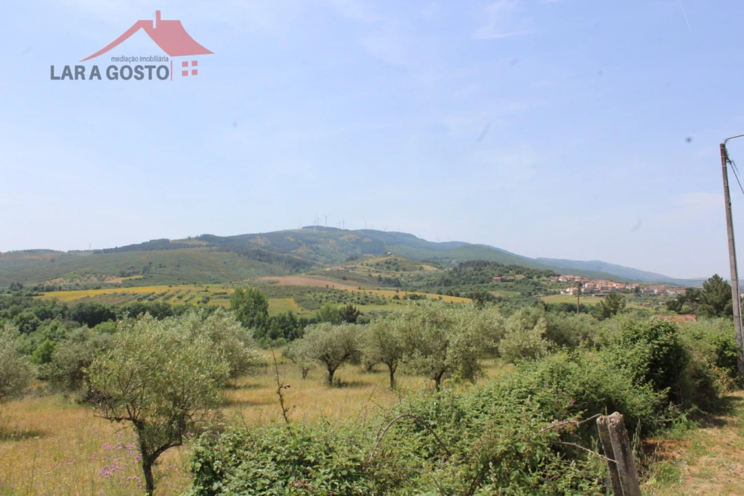 Terreno para Venda em Castelãos e Vilar do Monte Foto 2
