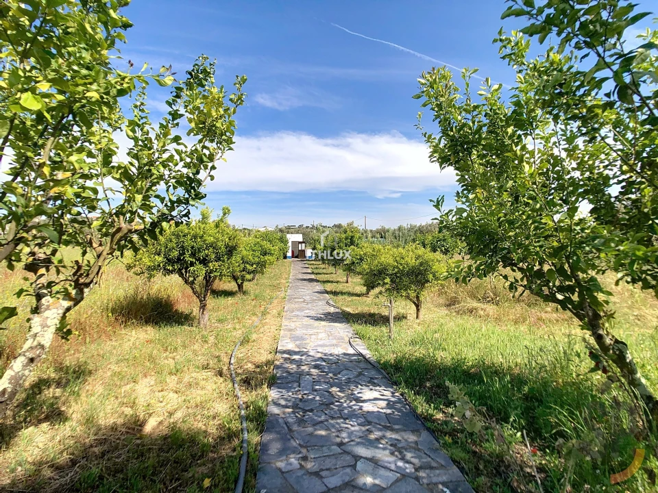 Quinta T4 para Venda em Redondo Foto 39