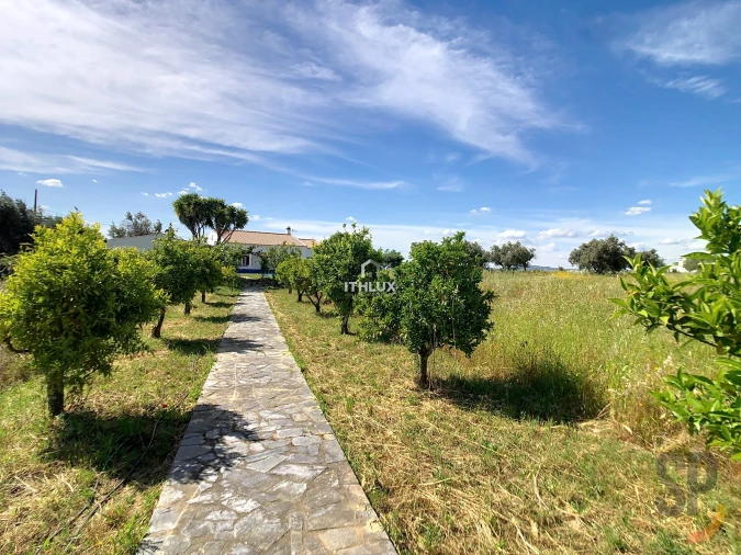 Quinta T4 para Venda em Redondo Foto 40