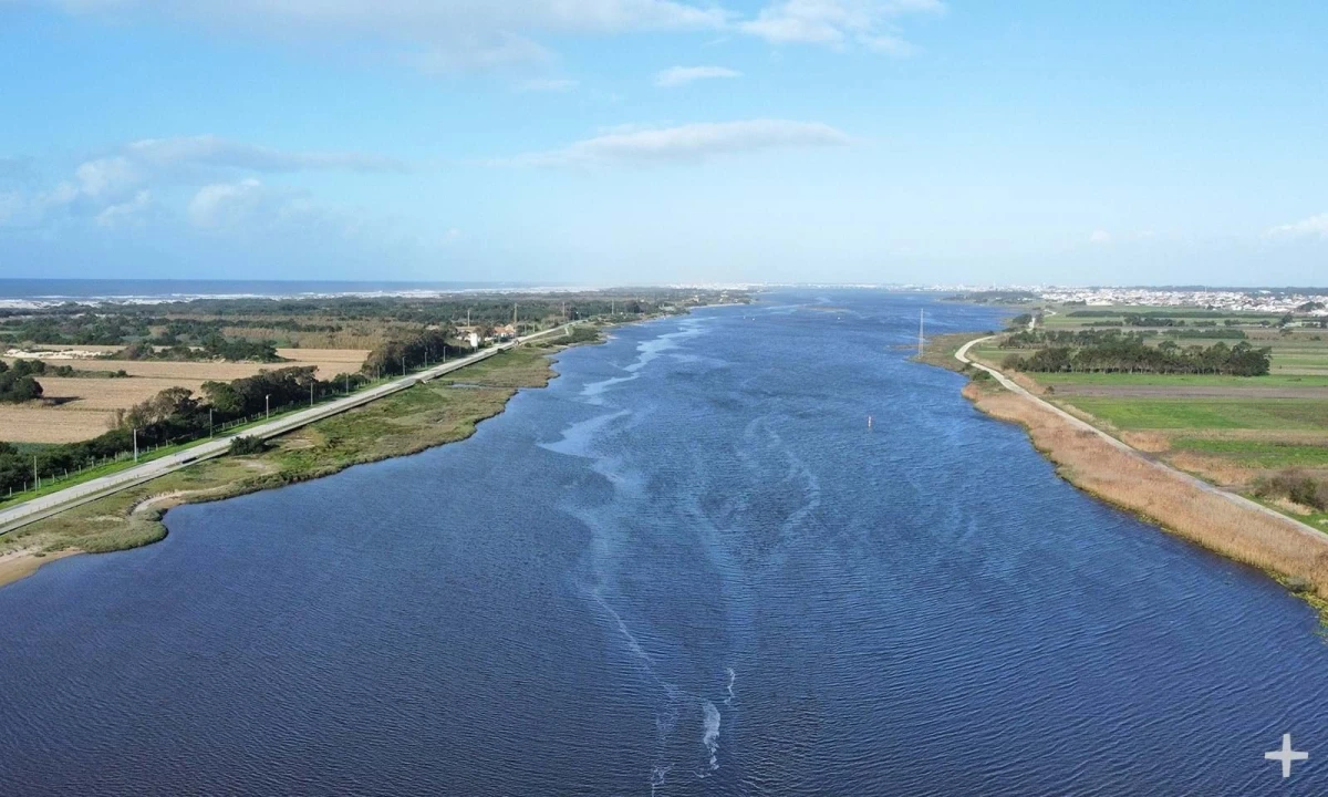 Negócio para Arrendamento em Gafanha da Boa Hora Foto 10