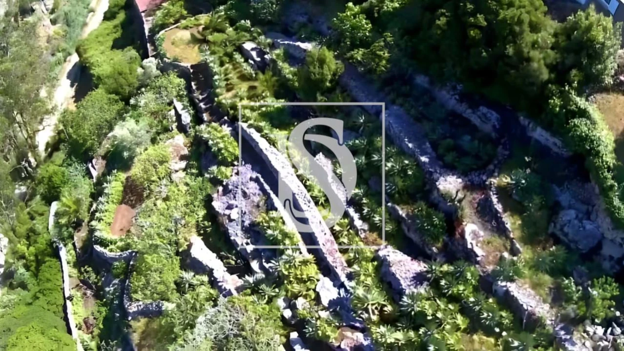 Terreno para Venda em Reguengo Grande Foto 4