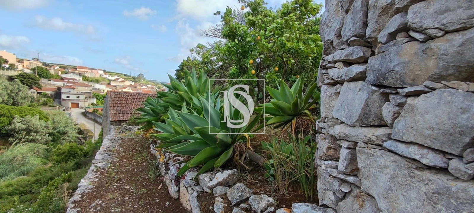 Terreno para Venda em Reguengo Grande Foto 62