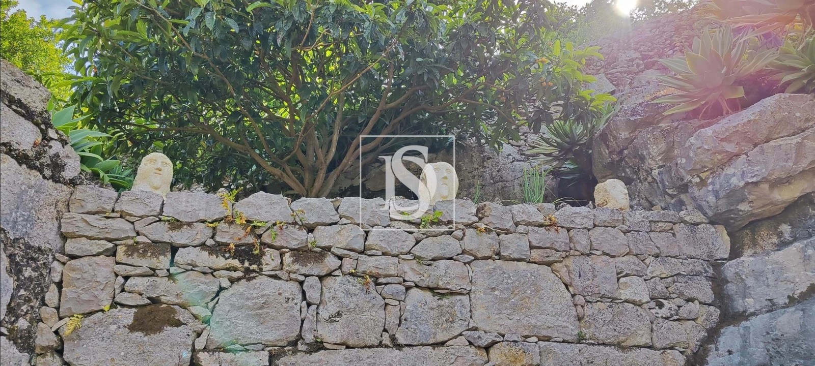 Terreno para Venda em Reguengo Grande Foto 27