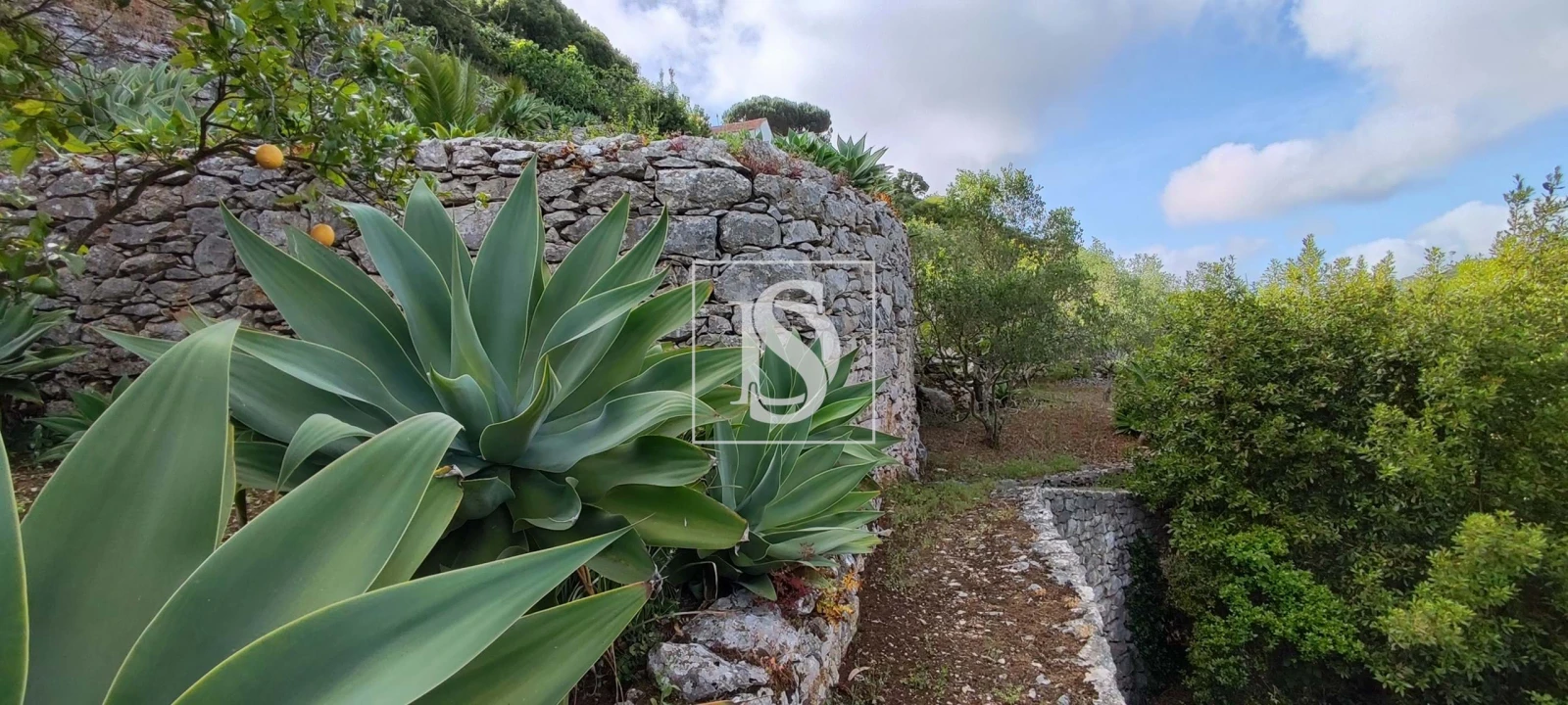 Terreno para Venda em Reguengo Grande Foto 58