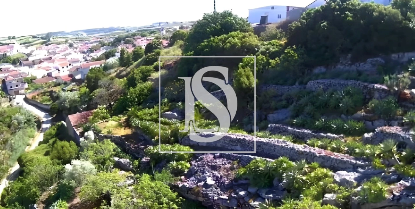 Terreno para Venda em Reguengo Grande Foto 9