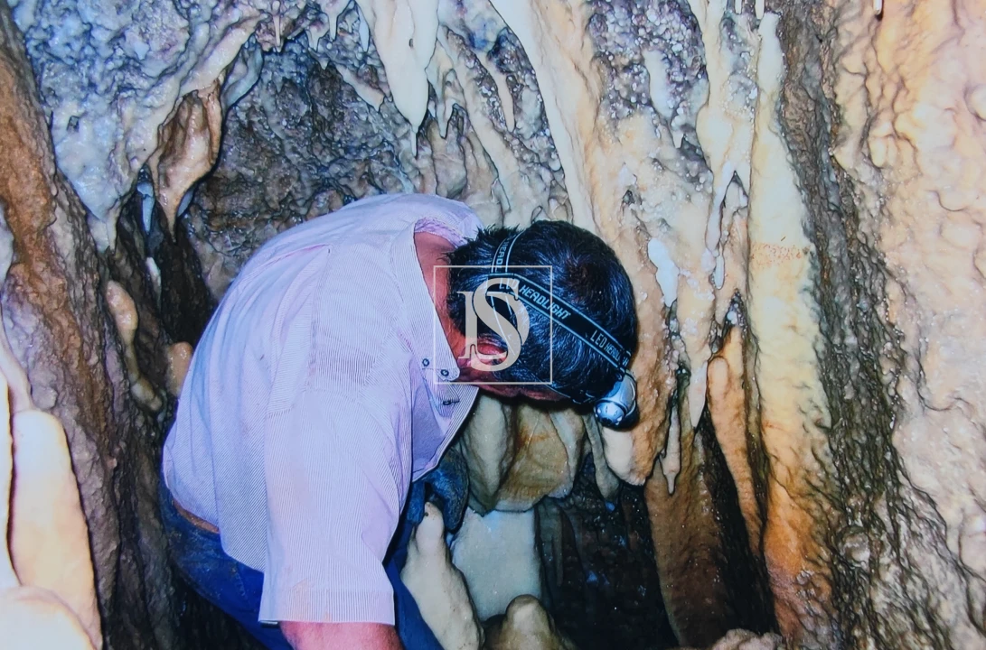 Terreno para Venda em Reguengo Grande Foto 21