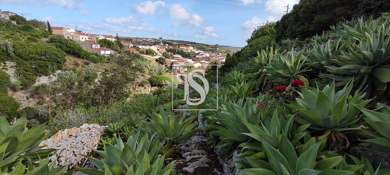 Terreno para Venda em Reguengo Grande Foto 49