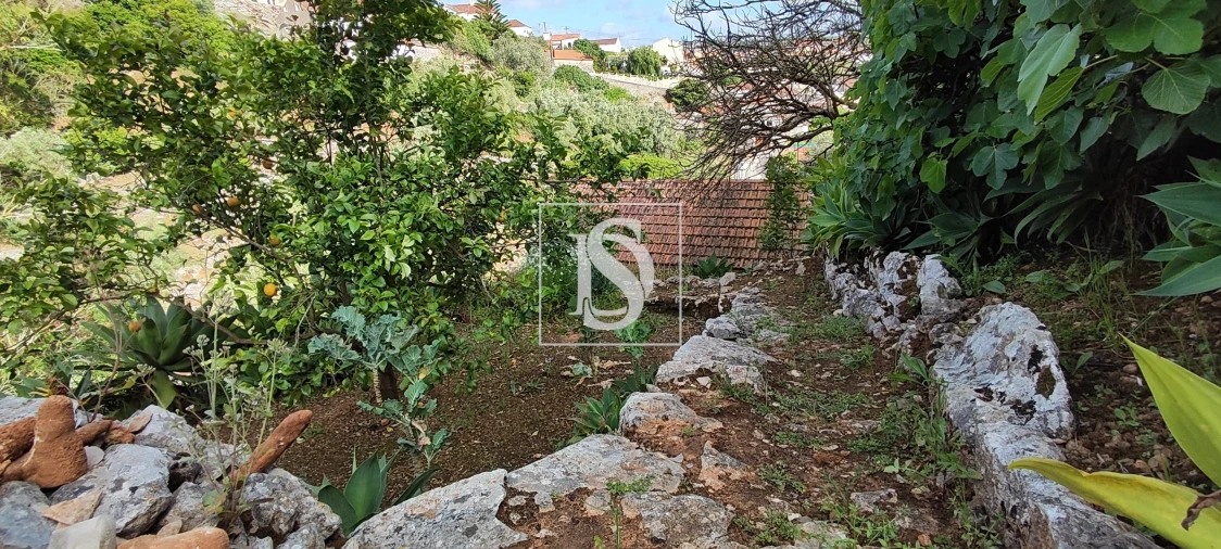 Terreno para Venda em Reguengo Grande Foto 55