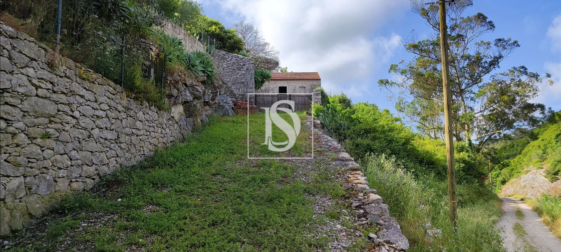 Terreno para Venda em Reguengo Grande Foto 22