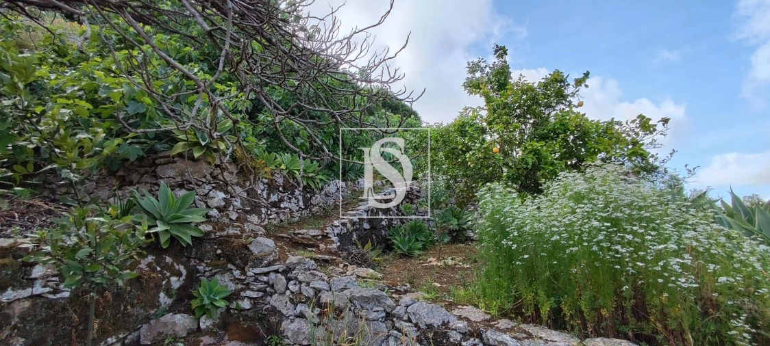 Terreno para Venda em Reguengo Grande Foto 40