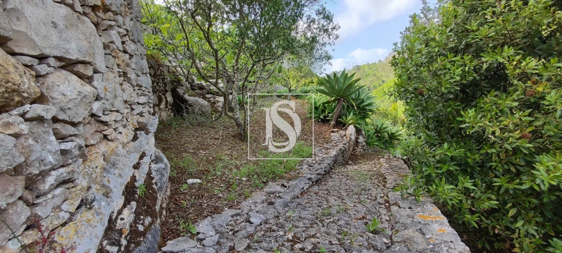 Terreno para Venda em Reguengo Grande Foto 59