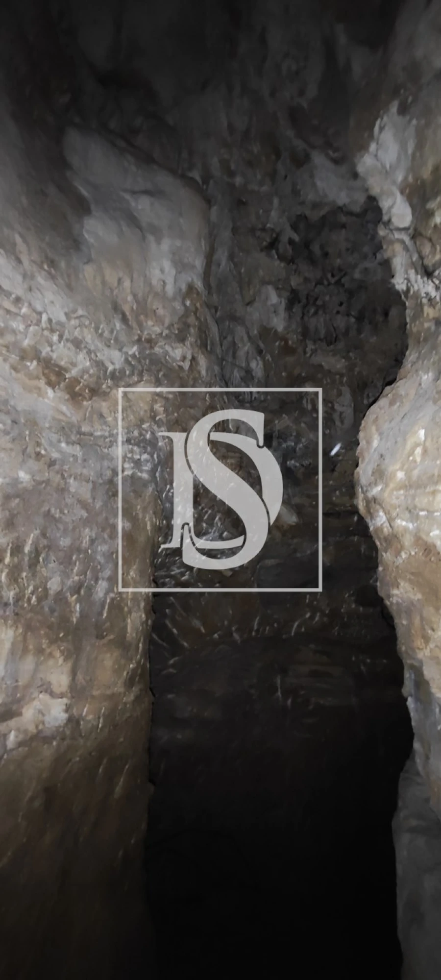 Terreno para Venda em Reguengo Grande Foto 64