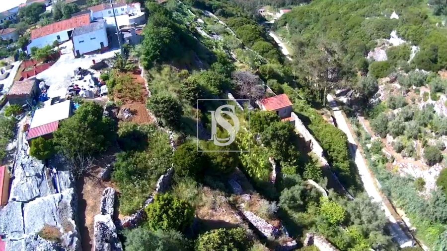 Terreno para Venda em Reguengo Grande Foto 2