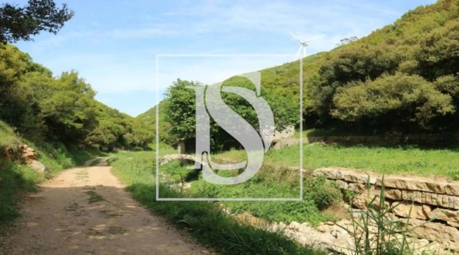 Terreno para Venda em Reguengo Grande Foto 10