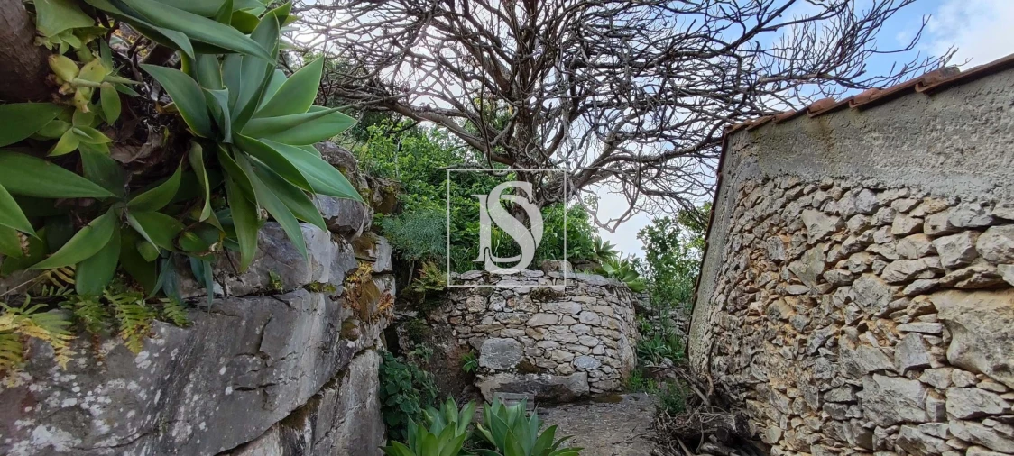 Terreno para Venda em Reguengo Grande Foto 32