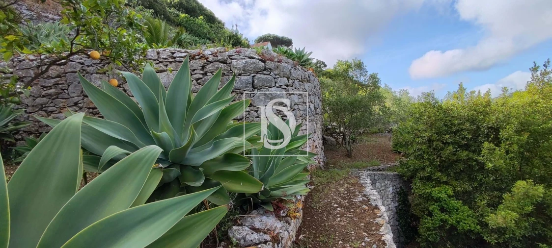Terreno para Venda em Reguengo Grande Foto 58