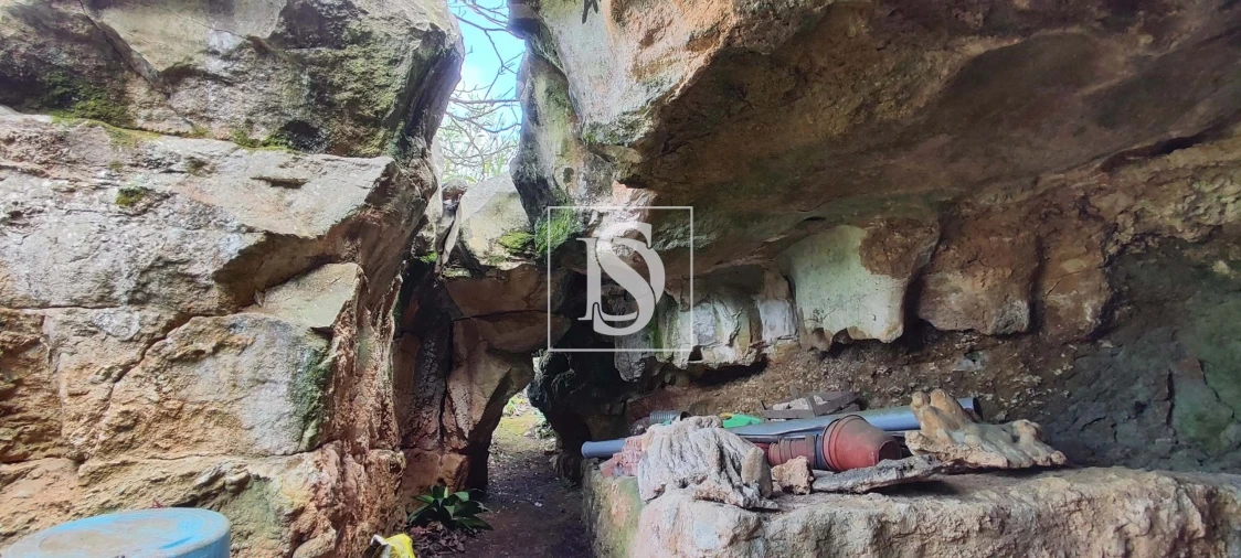 Terreno para Venda em Reguengo Grande Foto 35