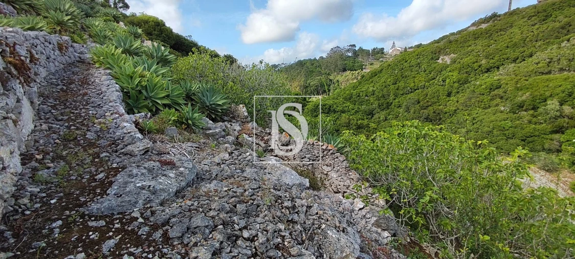 Terreno para Venda em Reguengo Grande Foto 46
