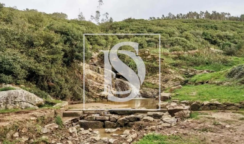 Terreno para Venda em Reguengo Grande Foto 12