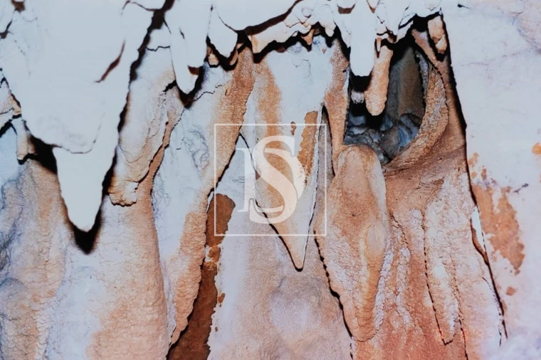 Terreno para Venda em Reguengo Grande Foto 15