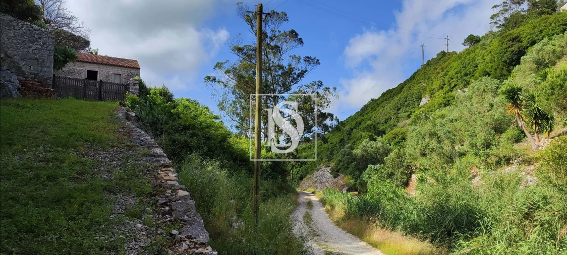 Terreno para Venda em Reguengo Grande Foto 23