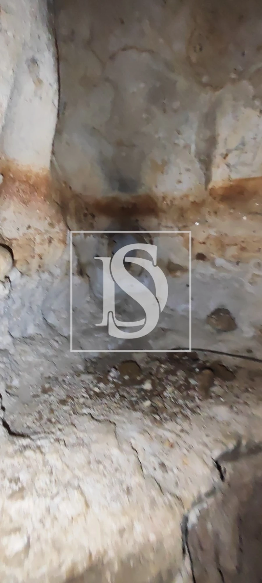 Terreno para Venda em Reguengo Grande Foto 65