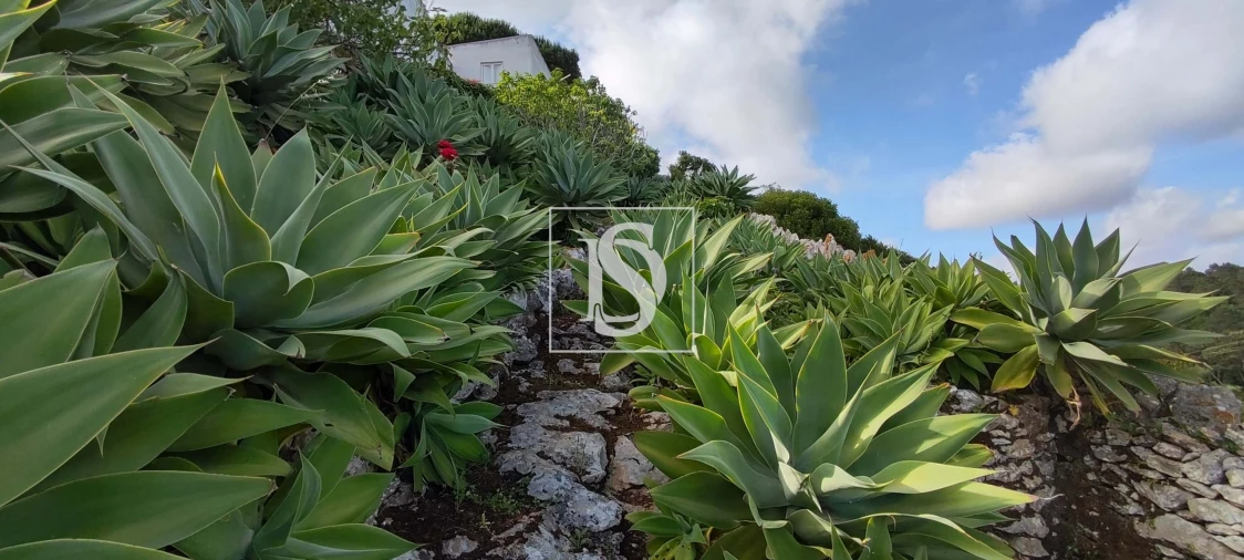 Terreno para Venda em Reguengo Grande Foto 48