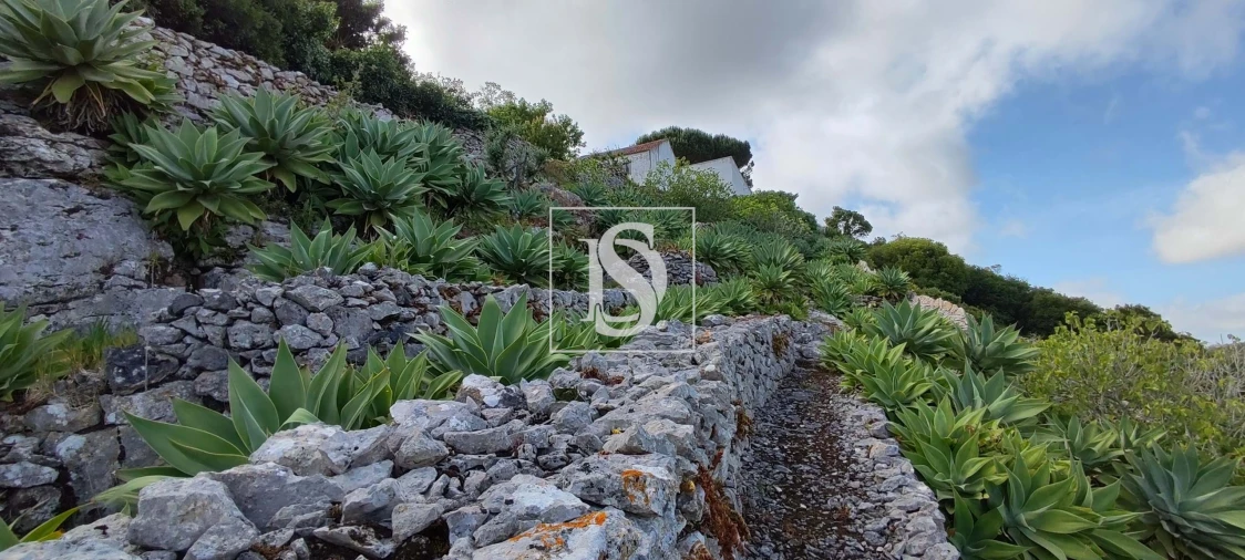 Terreno para Venda em Reguengo Grande Foto 47