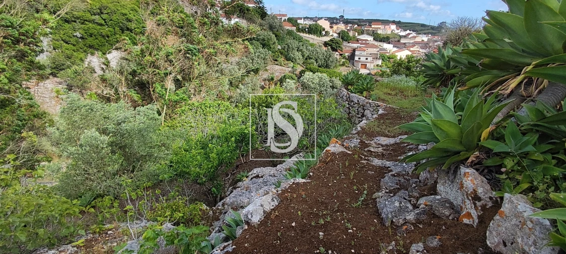 Terreno para Venda em Reguengo Grande Foto 52