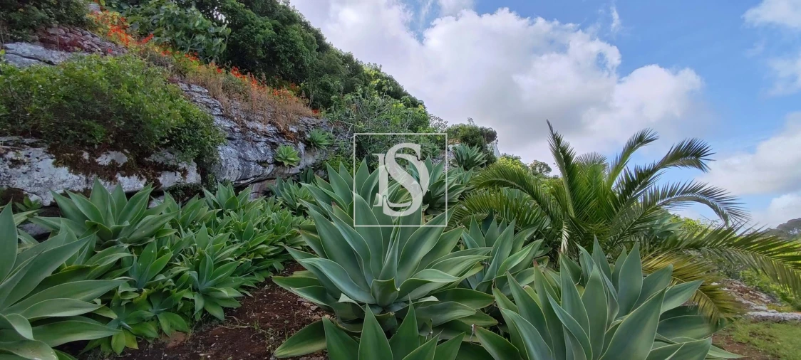Terreno para Venda em Reguengo Grande Foto 43