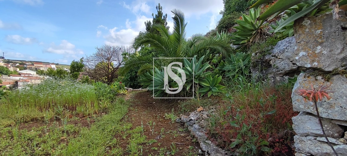 Terreno para Venda em Reguengo Grande Foto 54