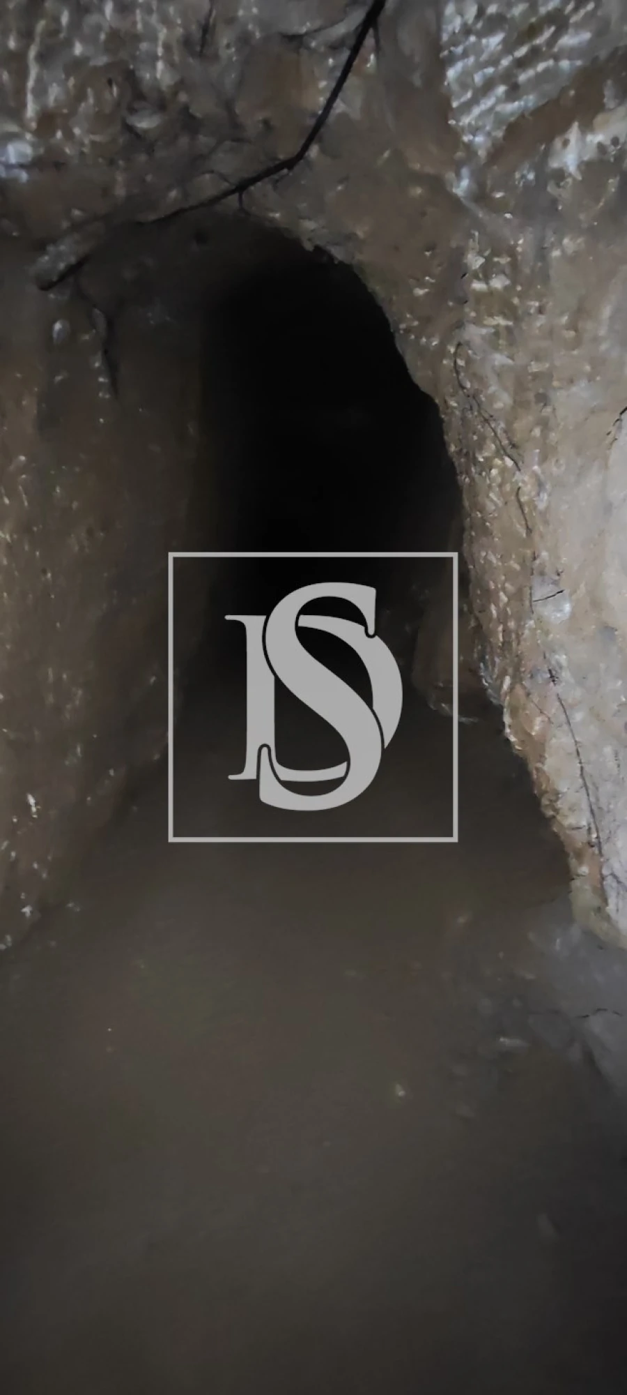 Terreno para Venda em Reguengo Grande Foto 68