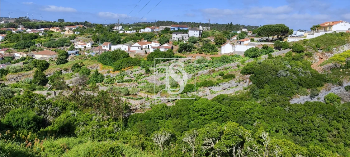 Terreno para Venda em Reguengo Grande Foto 70