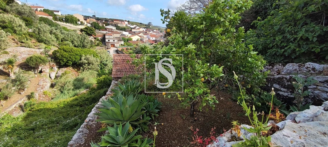 Terreno para Venda em Reguengo Grande Foto 45