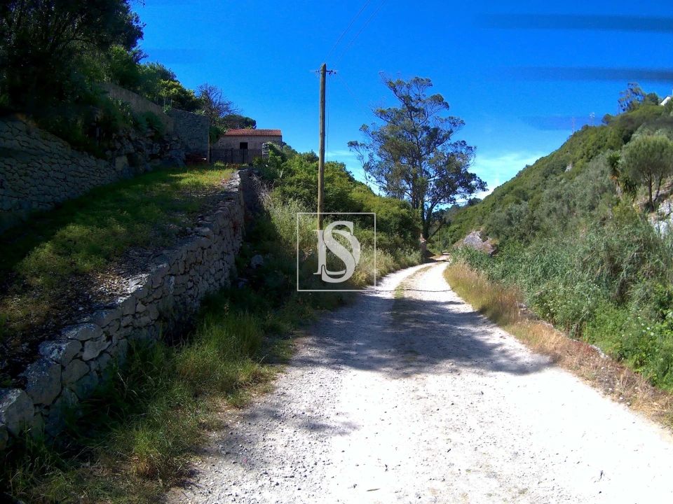 Terreno para Venda em Reguengo Grande Foto 3