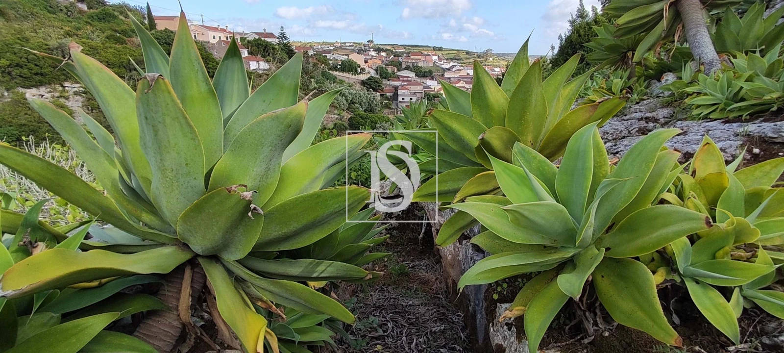 Terreno para Venda em Reguengo Grande Foto 51